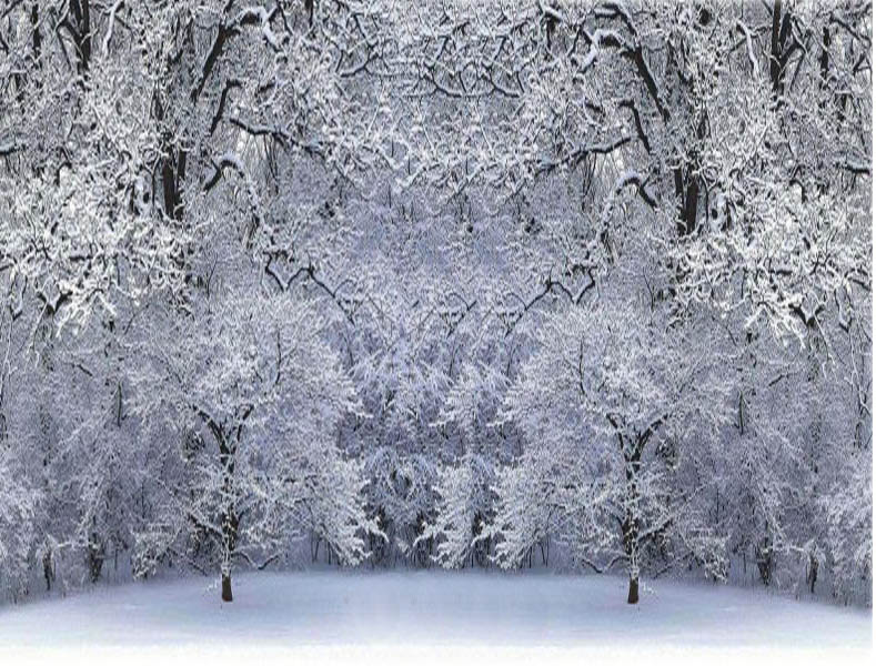 Photoshop Design by sunkan for DesignCrowd (Community Contests) | Design #9062693