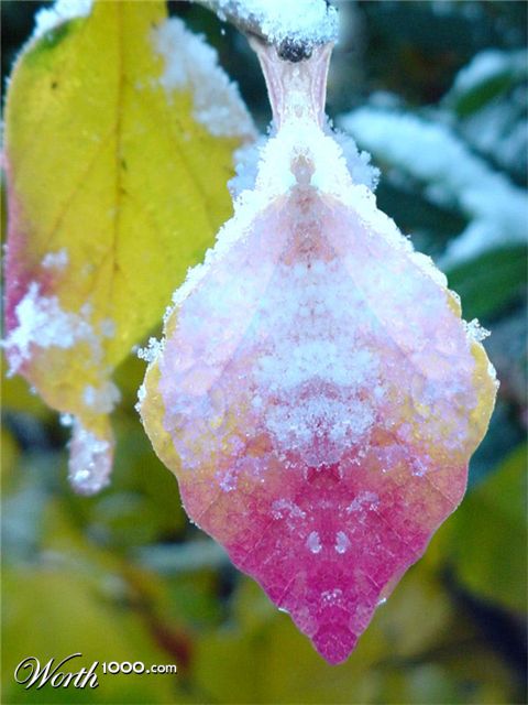 Photoshop Design by HandGrenade