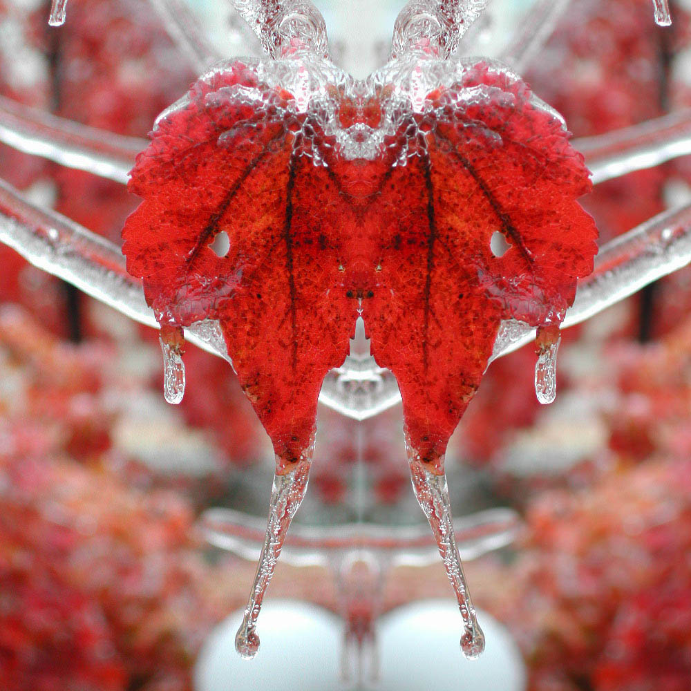 Design Photoshop par kobra150 pour DesignCrowd (Community Contests) | Design #9062719