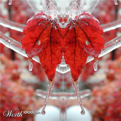 Photoshop Design by kobra150