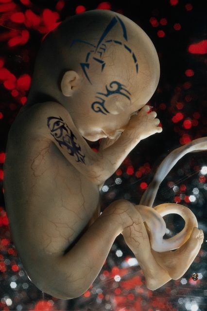 Design Photoshop par Kryptomaniacle pour DesignCrowd (Community Contests) | Design #9053916