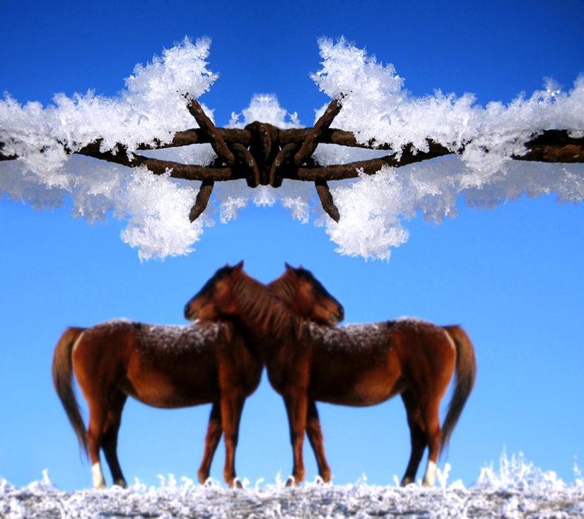 Photoshop-Design von RikkieZ für DesignCrowd (Community Contests) | Design #9062766