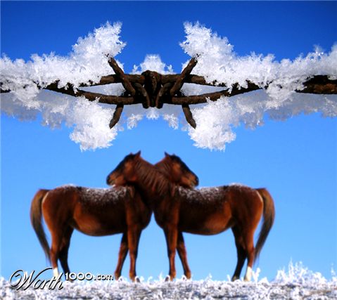 Photoshop Design by RikkieZ