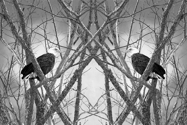 Photoshop Design by tjroland for DesignCrowd (Community Contests) | Design #9062815