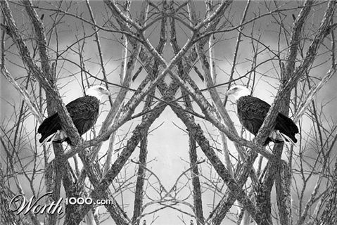 Photoshop Design by tjroland