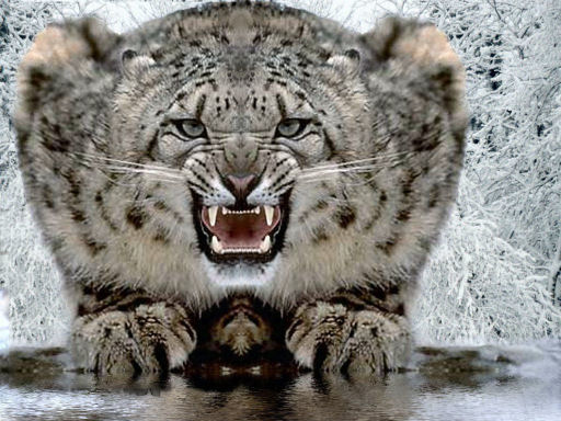 Photoshop Design by lisa4011 for DesignCrowd (Community Contests) | Design #9062804