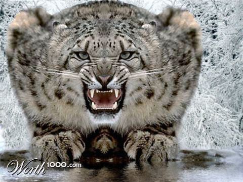 Photoshop Design by lisa4011