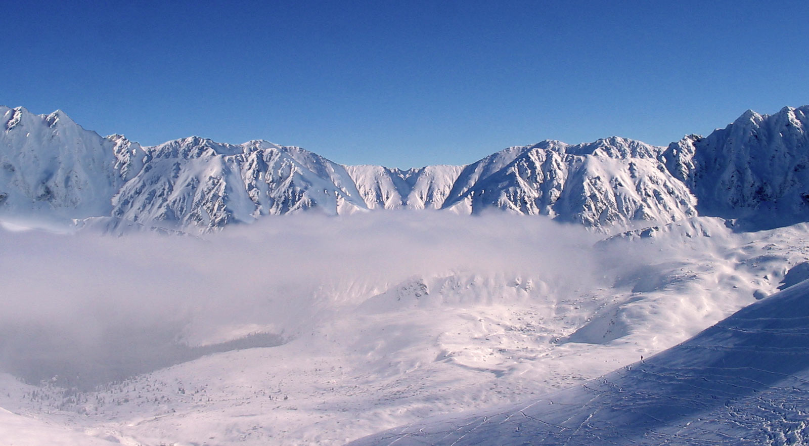 Photoshop Design by CraftLord for DesignCrowd (Community Contests) | Design #9062748