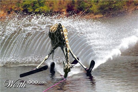 Photoshop Design by TiredTom