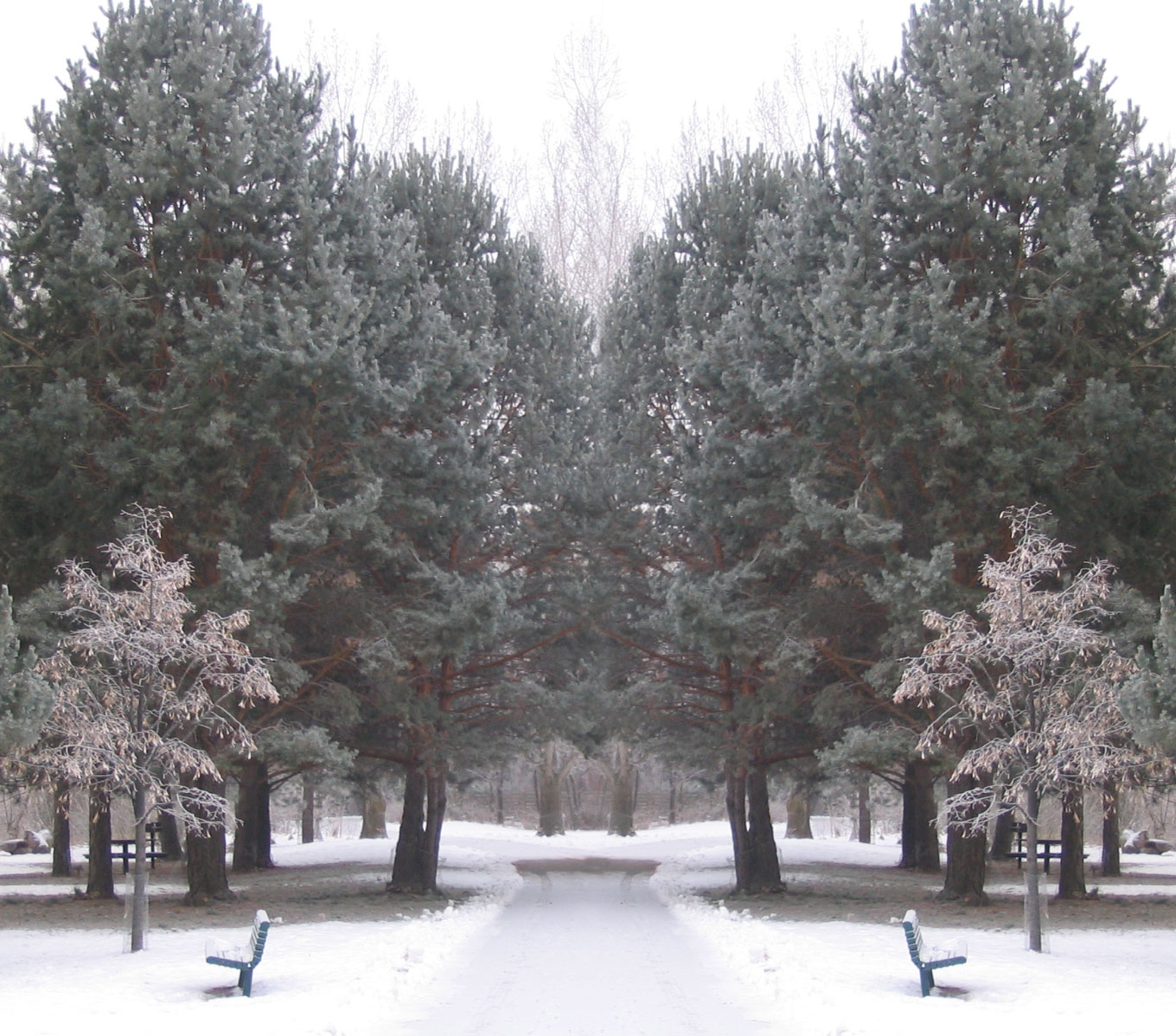 Photoshop Design by Catete for DesignCrowd (Community Contests) | Design #9062787