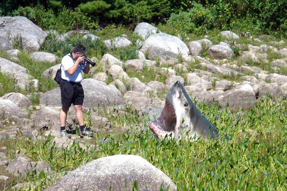 Design Photoshop par desertpenguin pour DesignCrowd (Community Contests) | Design #9053995