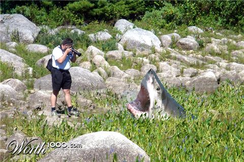 Photoshop Design by desertpenguin