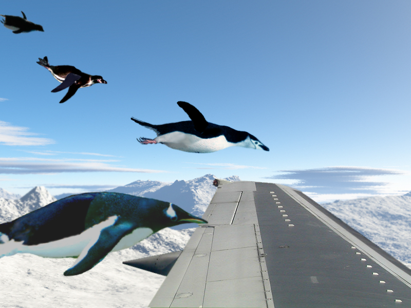 Design Photoshop par skippidydooda pour DesignCrowd (Community Contests) | Design #9053999