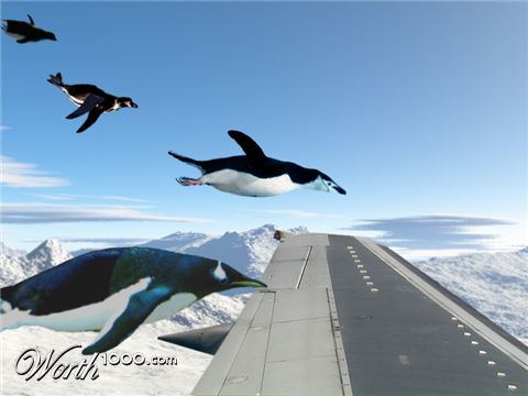 Photoshop Design by skippidydooda