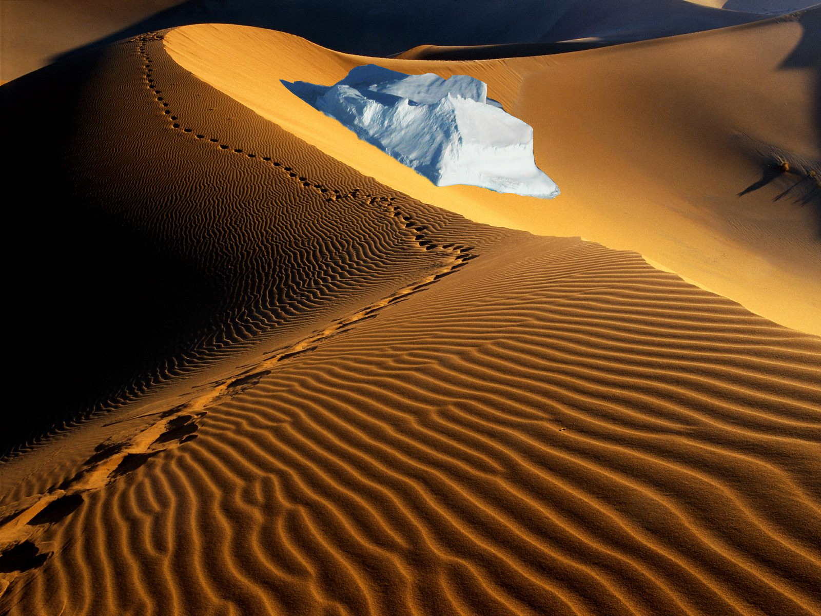 Photoshop Design by FoXeR237 for DesignCrowd (Community Contests) | Design #9053959