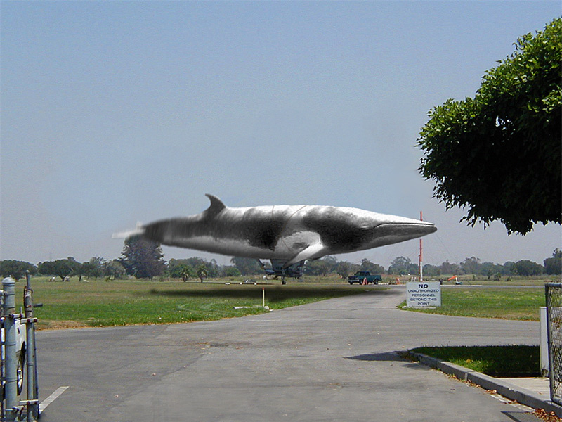 Photoshop Design by Jelger for DesignCrowd (Community Contests) | Design #9053992