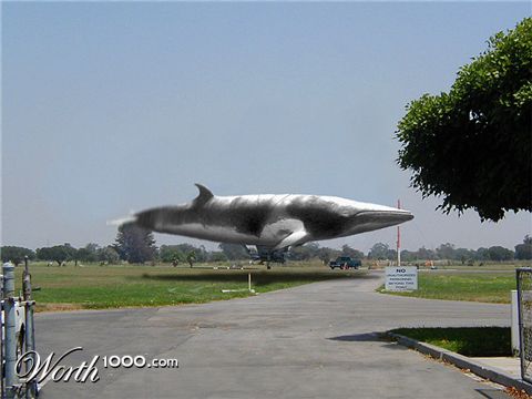 Photoshop Design by Jelger