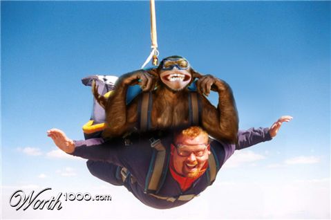 Photoshop Design by n1hustla