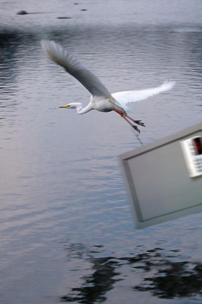 Photoshop Design by Pitchaman for DesignCrowd (Community Contests) | Design #9053997