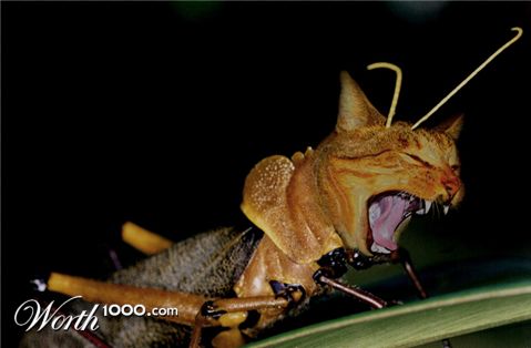 Photoshop Design by ayoksus