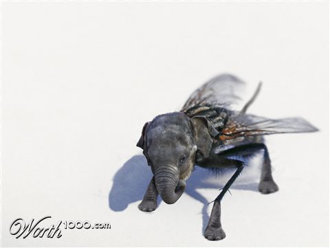 Photoshop Design by schnipper