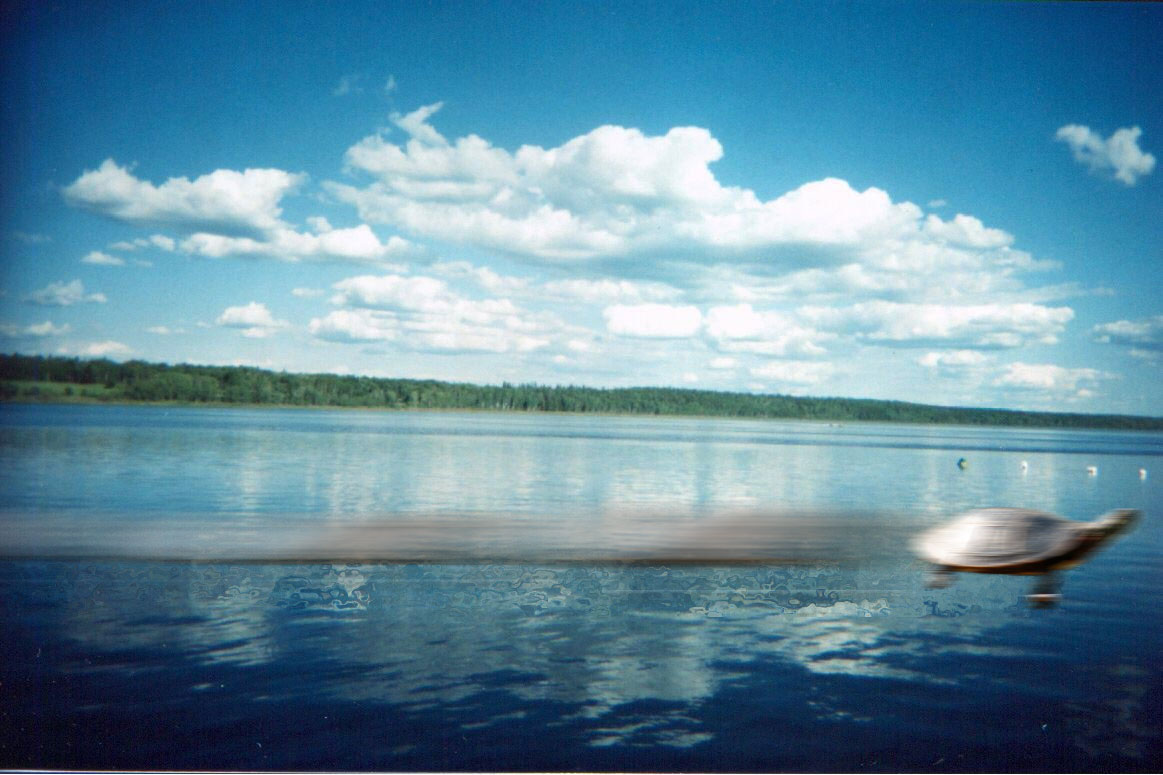 Photoshop Design by MannyD for DesignCrowd (Community Contests) | Design #9054074