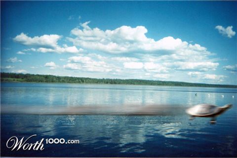 Photoshop Design by MannyD