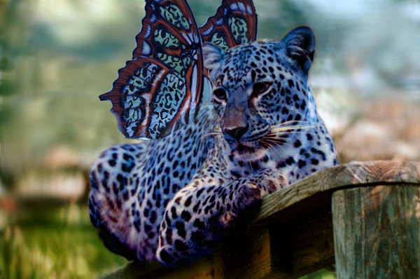 Design Photoshop par vengefulangel pour DesignCrowd (Community Contests) | Design #9052055