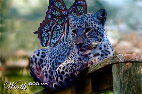 Photoshop Design by vengefulangel