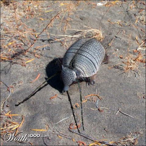 Photoshop Design by Saleko