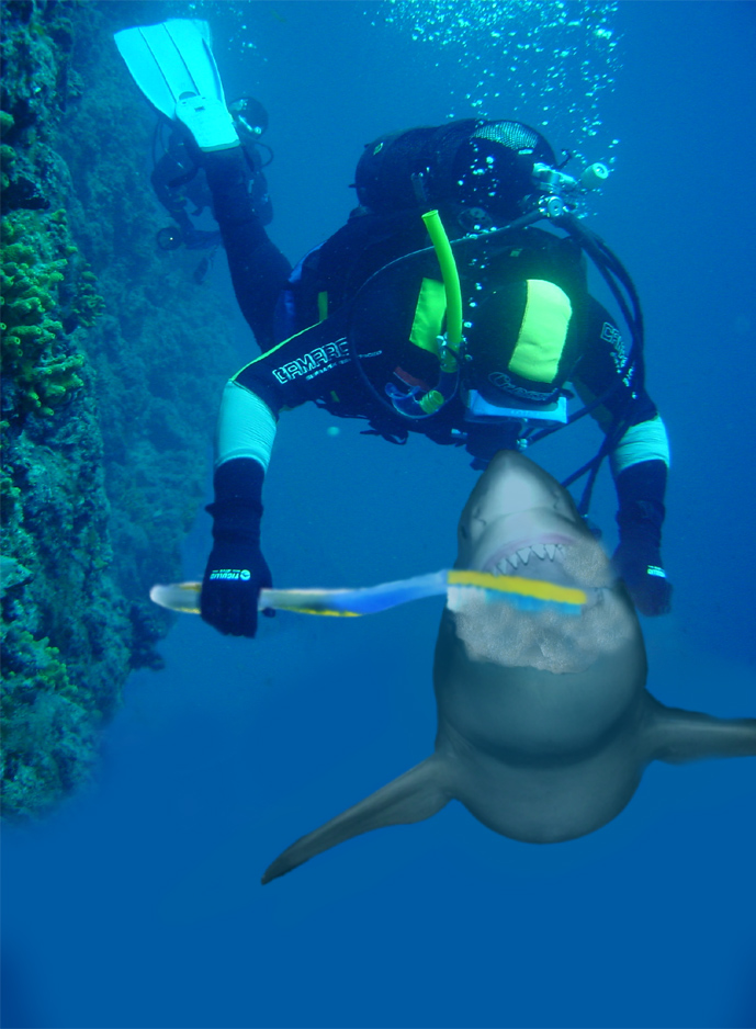 Photoshop Design by hypnotode for DesignCrowd (Community Contests) | Design #9054068