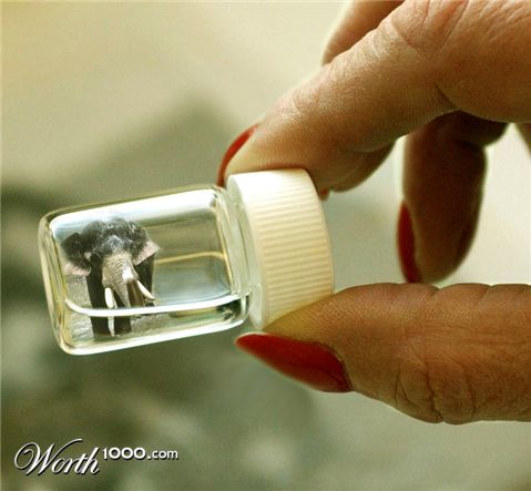 Photoshop Design by eduj65