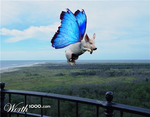 Photoshop Design by ninapeanut
