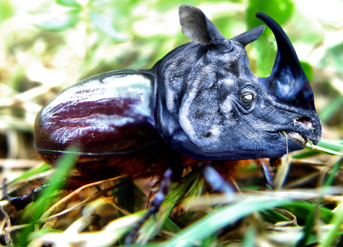 Photoshop Design by bif248 for DesignCrowd (Community Contests) | Design #9052032