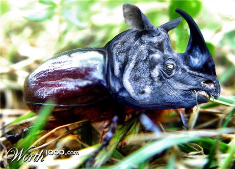 Photoshop Design by bif248