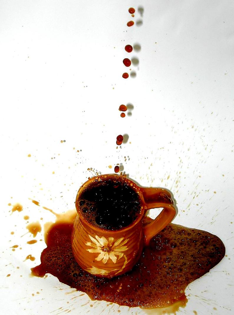 Photography by Isabella2006 for DesignCrowd (Community Contests) | Design #9059945