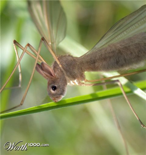 Photoshop Design by spiraleye