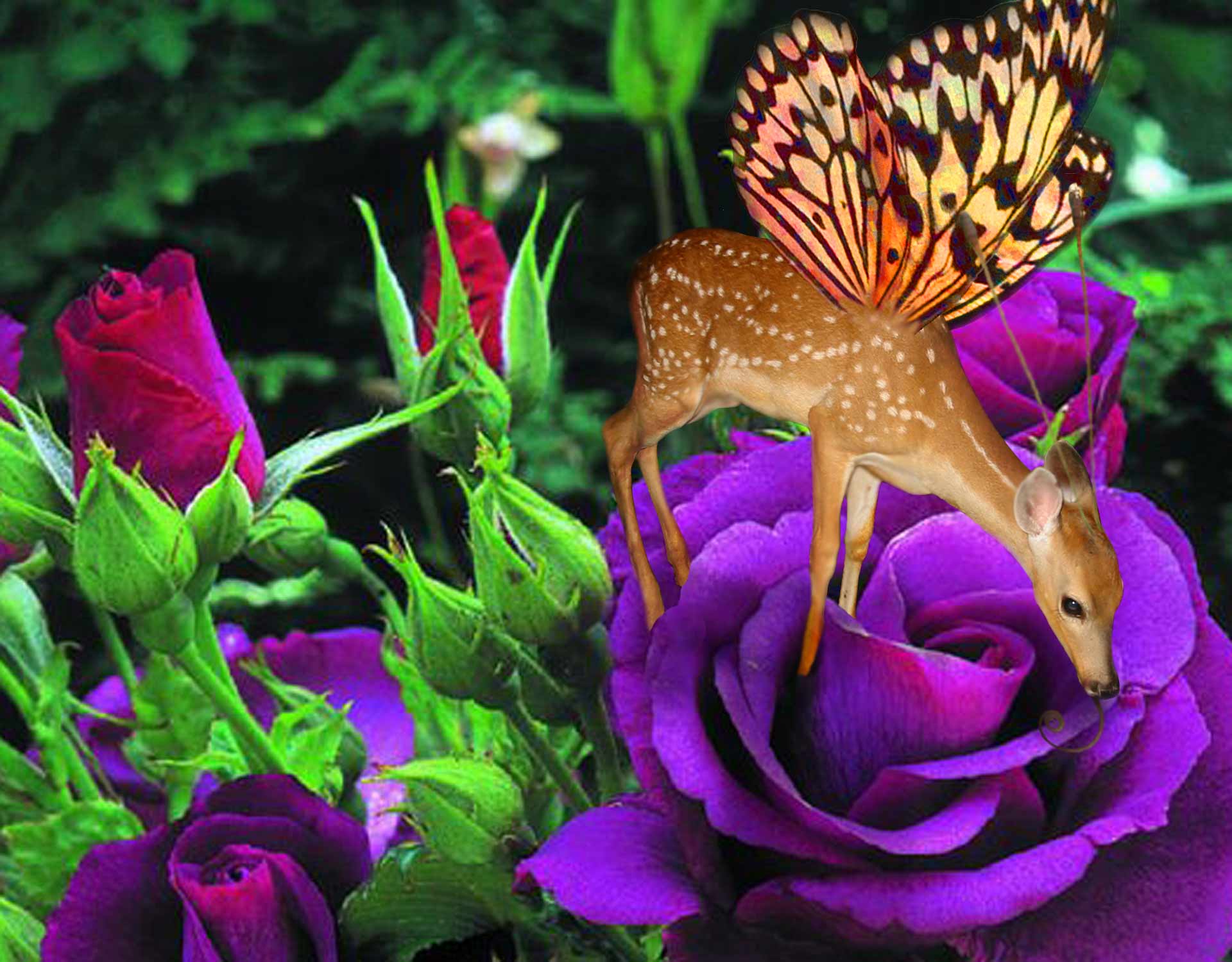 Photoshop Design by melissadiane for DesignCrowd (Community Contests) | Design #9052112