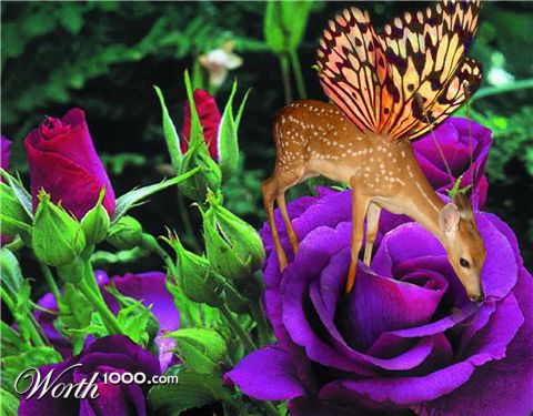 Photoshop Design by melissadiane