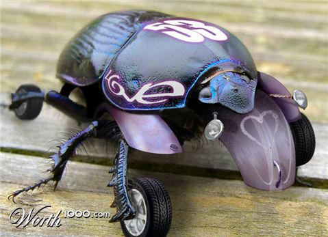 Photoshop Design by DennisL