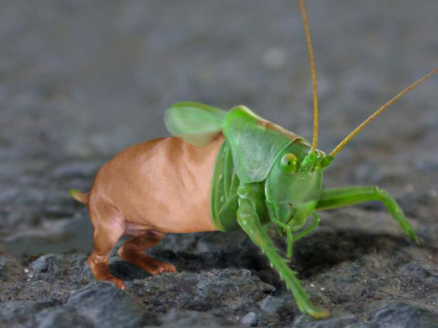 Design Photoshop par sugarcane pour DesignCrowd (Community Contests) | Design #9052115