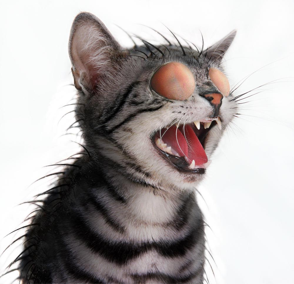 Design Photoshop par Fedorov pour DesignCrowd (Community Contests) | Design #9052070