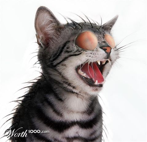 Photoshop Design by Fedorov