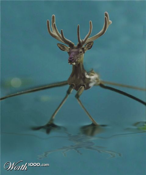 Photoshop Design by Threedeenow