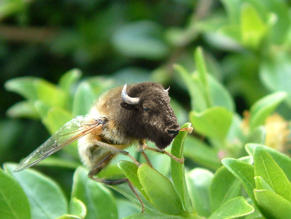 Design Photoshop par MLavan pour DesignCrowd (Community Contests) | Design #9052082