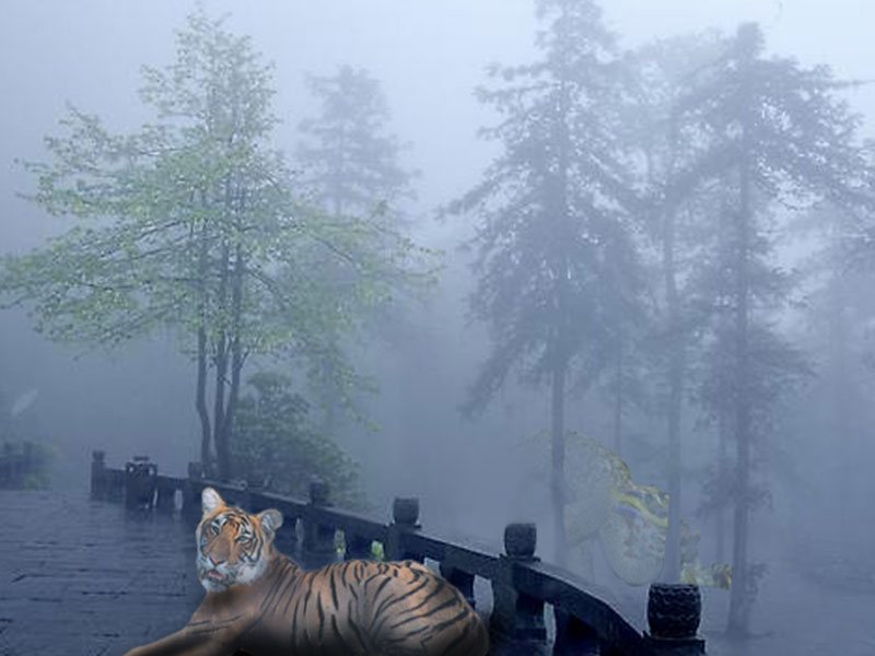 Photoshop Design by Minus1 for DesignCrowd (Community Contests) | Design #9061340