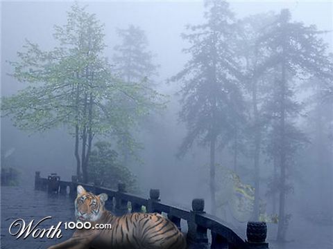 Photoshop Design by Minus1