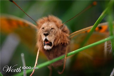 Photoshop Design by n1hustla