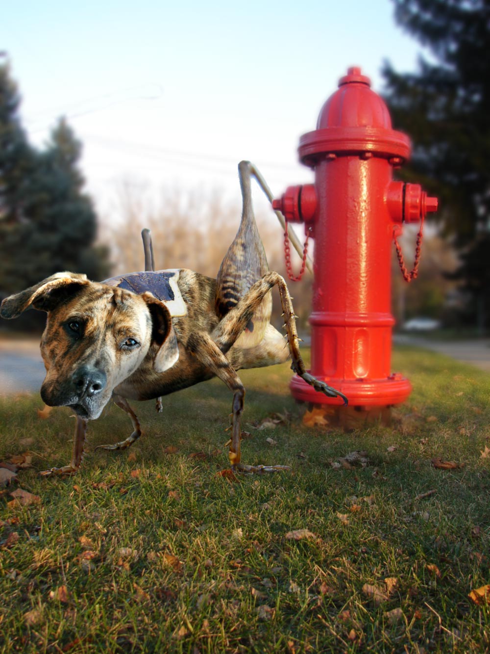 Photoshop-Design von midian für DesignCrowd (Community Contests) | Design #9052094