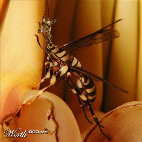 Photoshop Design by sloanyo